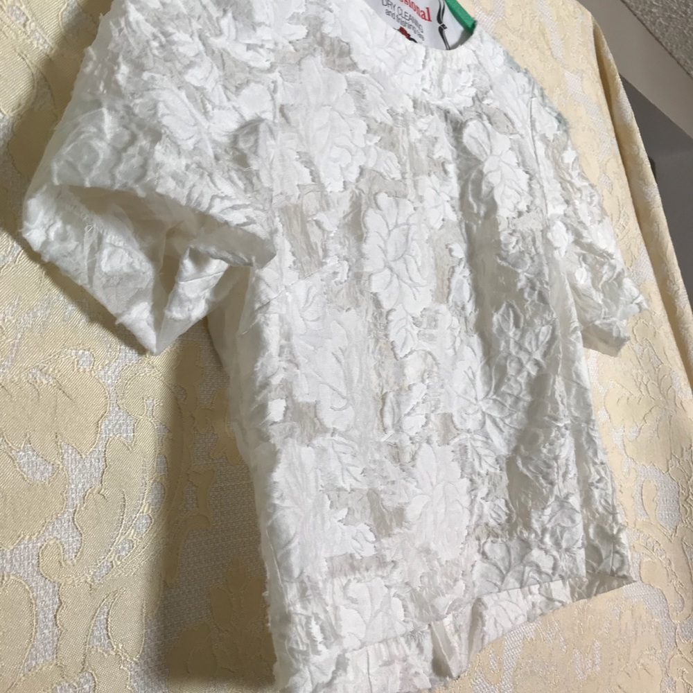 Beautiful lace top with zipper back - size 6 - Picture 3 of 6